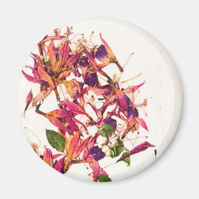 FUCHSIAS I MAGNET (Vorne)