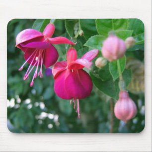 Fuchsie 1 mousepad