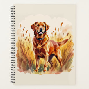 Fuchsroter Labrador Retriever Hund Planer