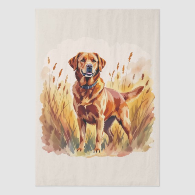 Fuchsroter Labrador Retriever Hund Seidenpapier (Vorderseite)