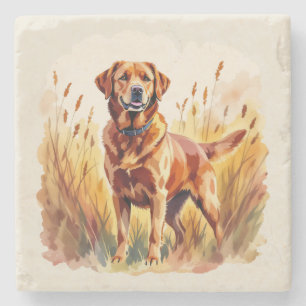 Fuchsroter Labrador Retriever Hund Steinuntersetzer
