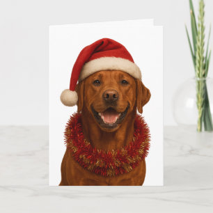 Fuchsroter Labrador Retriever Weihnachtskarte Karte