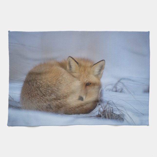 Fuchsteppichtuch, Foxyküchentuch, Fuchs-Wohngestal Handtuch (Horizontal)