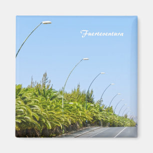 Fuerteventura Aimant
