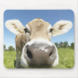 Fuessen, Bayern, Deutschland Mousepad
