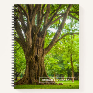 Füge Deinen Namen hinzu Grosser Baum im Park Notizbuch