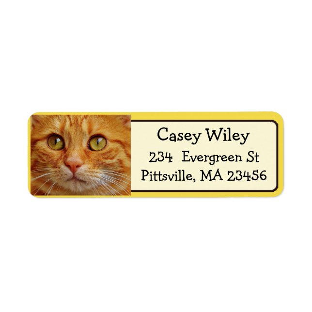Fügen Sie das Foto Ihrer Katze diesem Adressetiket (Vorne)