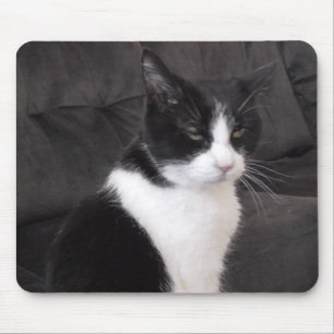 Fügen Sie das Foto Ihres Haustieres niedlichem Mousepad