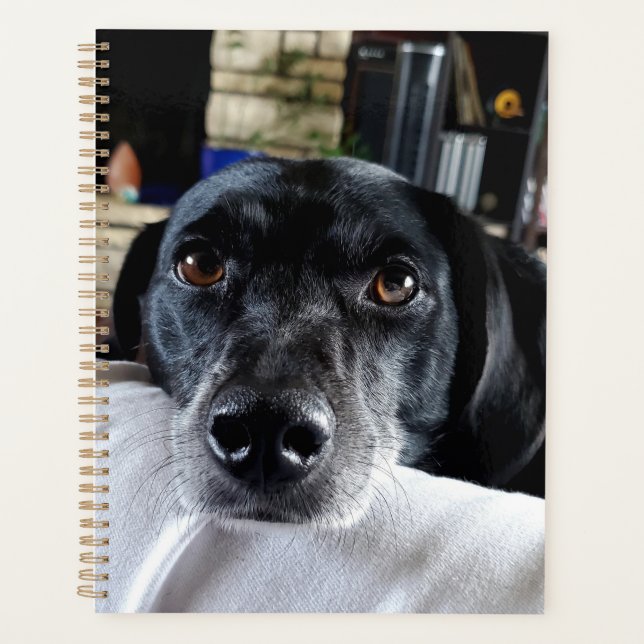 Fügen Sie dem benutzerdefinierten Foto Ihres Hunde Planer (Vorderseite)