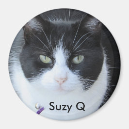 Fügen Sie dem Magnet des Kühlschranks Ihr Cat's Fo