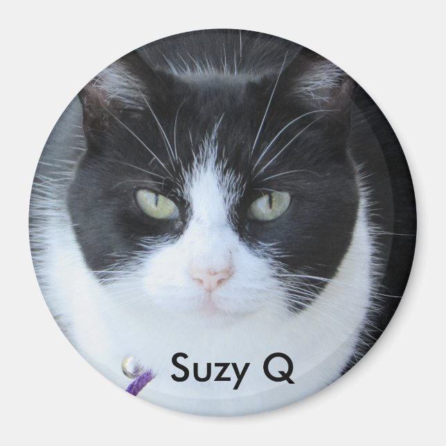 Fügen Sie dem Magnet des Kühlschranks Ihr Cat's Fo (Vorne)