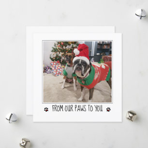 Fügen Sie dem Weihnachten vom Hund ein Foto hinzu