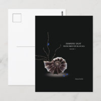 Fügen Sie Ihr eigenes Buch-Cover-Autor-Promo