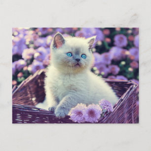 Fügen Sie Ihr eigenes Foto Kitten Flieder Blumen Postkarte
