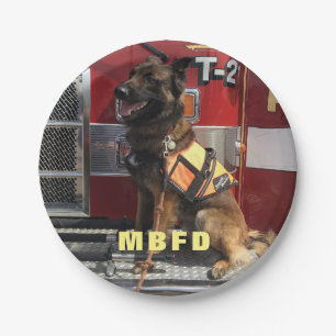 Fügen Sie Ihr Foto Fireman Feier Pappteller