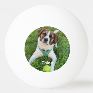 Fügen Sie Ihr Foto Hund Foto Kinder Foto Familienf Tischtennisball