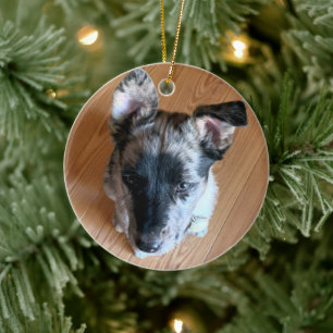 Fügen Sie Ihr Niedliches Puppy-Foto doppelseitig Keramik Ornament