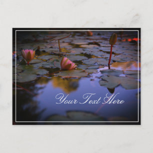 Fügen Sie Ihre Text Wasserlilie schöne Postkarte h