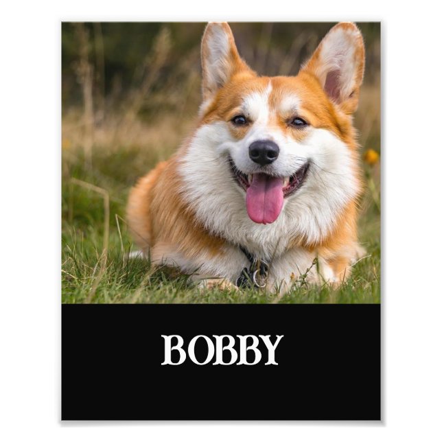 Fügen Sie Ihrem eigenen Hund Foto und Namen hinzu (Vorne)