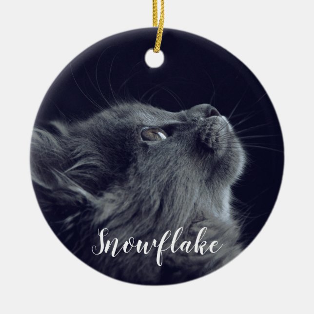 Fügen Sie Ihrem Foto mein Haustier Weihnachten Keramik Ornament (Vorne)