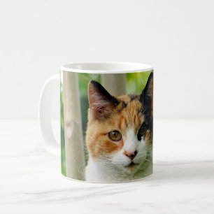 Fügen Sie Ihrem Kaffee-Mug das Foto Ihrer Katze hi Kaffeetasse