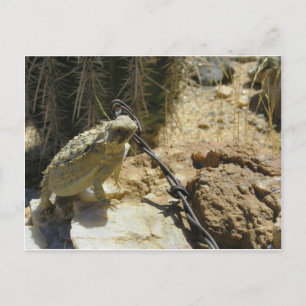 FÜGEN SIE IHREN EIGENEN TEXT AN Godzillas geposed  Postkarte