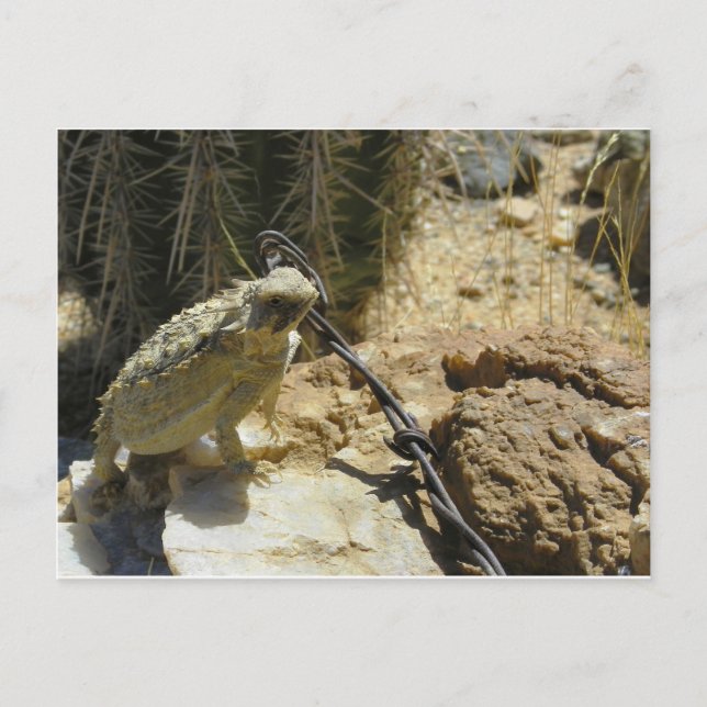 FÜGEN SIE IHREN EIGENEN TEXT AN Godzillas geposed  Postkarte (Vorderseite)