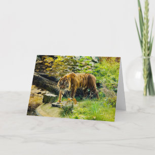FÜGEN SIE IHREN EIGENEN TEXT-Tiger hinzu Karte