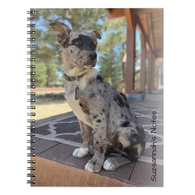 Fügen Sie Ihren Foto Adorable Cattle Dog Platzhalt Notizblock (Vorderseite)