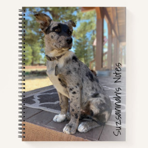 Fügen Sie Ihren Foto Adorable Cattle Dog Platzhalt Notizbuch