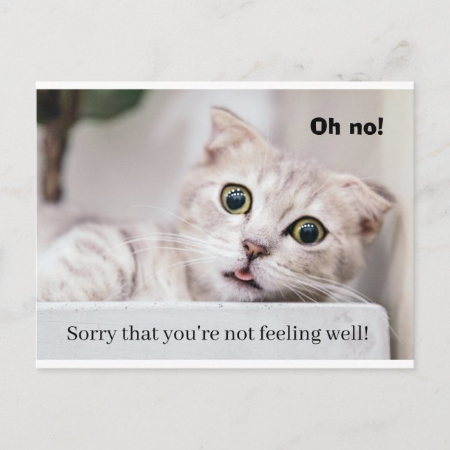 Fühl dich besser Kitty Postkarte (Vorderseite)