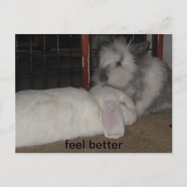 fühlen sich besser postkarte (Vorderseite)