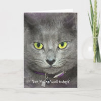 Fühlen Sie sich bald besser Katzengesicht
