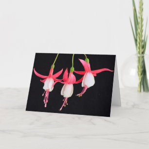 Fühlen Sie sich besser florale Fuchsia werden gut Karte