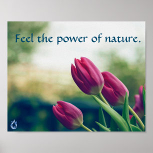 Fühlen Sie sich den Power eines Naturplakats Poster