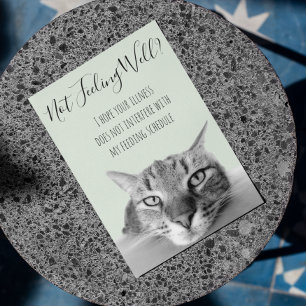 Fühlen Sie sich nicht wohl Gute Besserung von Katz Karte