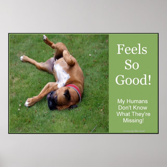 Fühlt sich so gut Poster (Vorne)
