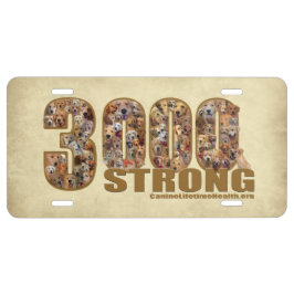 Führerschein - 3000 Starke US Nummernschild