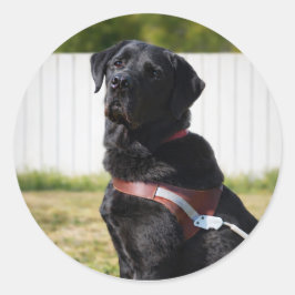 Führhund-Umschlag-Siegel – Schwarzer LabradorWisdo Runder Aufkleber
