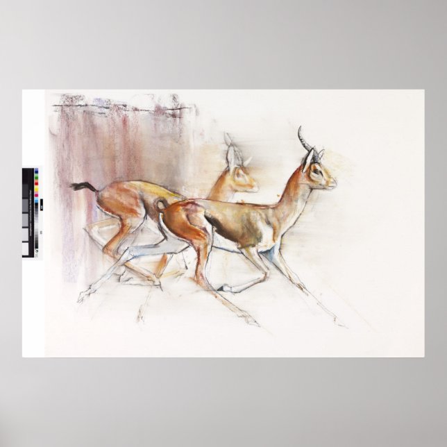 Führung der arabischen Gazellen 2010 Poster (Vorne)