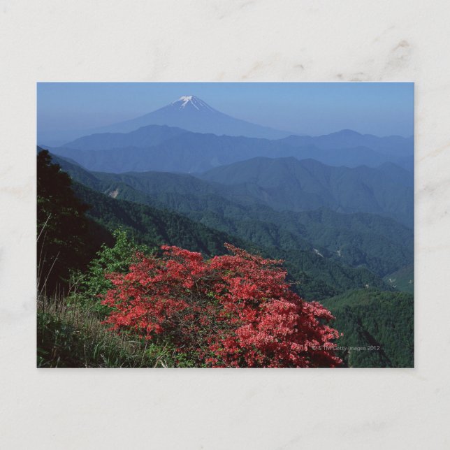 Fuji Postkarte (Vorderseite)