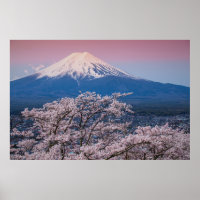 Fuji und Kirschblüten