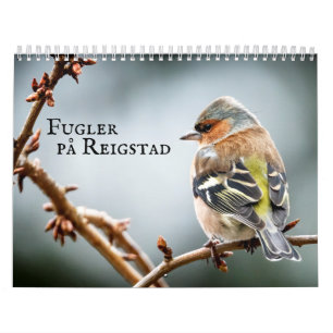 Fulger på Reigstad - Kalender 2021