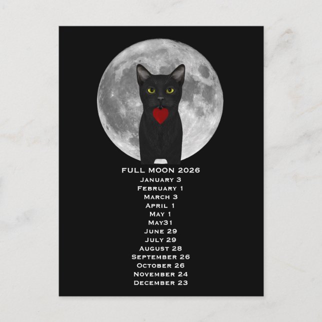 Full Moon  Cat 2026  Postcard Postkarte (Vorderseite)