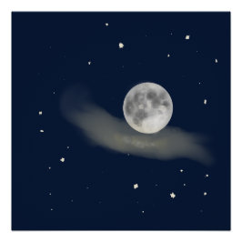 Full moon night  poster