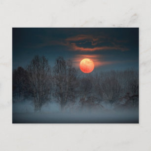 Full Moon   November in Scalenghe, Italy Postkarte