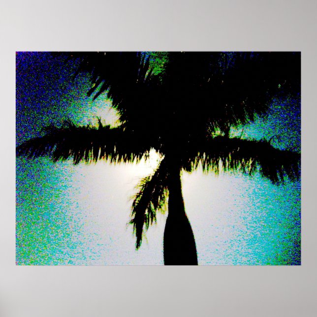 Full Moon & Palm Tree Poster (Vorne)