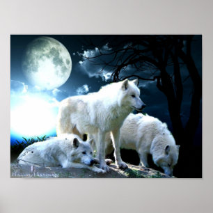 Full Wolf Moon Large Poster
