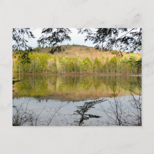 Fullam-Teich-Reflection Postkarte