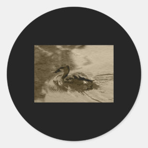 Fulvous Pfistling Duck Valencia Tint Sticker